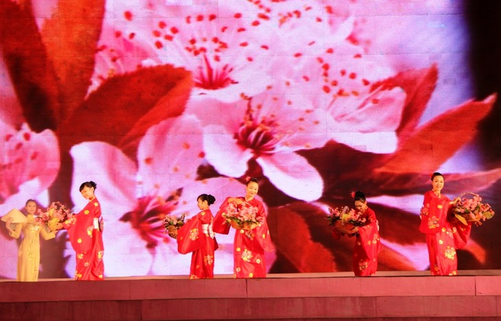 Cherry blossom festival opens in Ha long city - ảnh 1